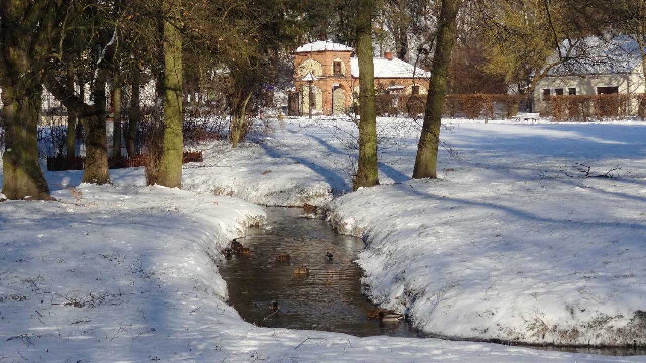 Apartament Parkowy Nałęczów المظهر الخارجي الصورة